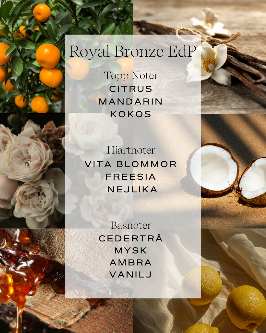 Royal Bronze Duo