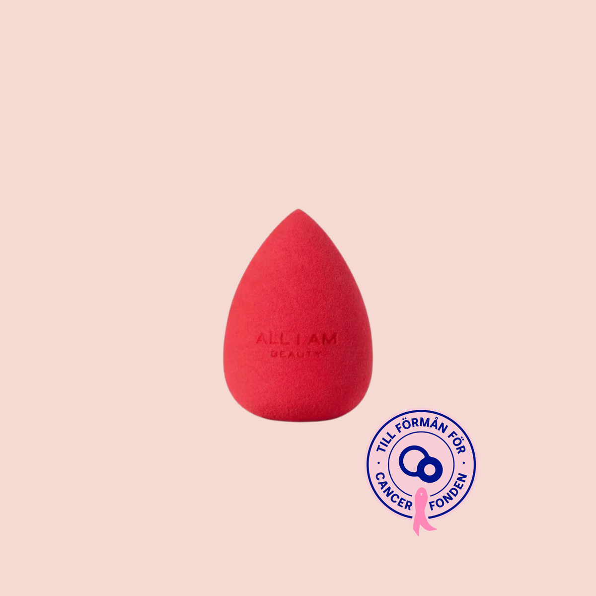 Makeup Sponge 01